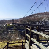 つつじ吊り橋