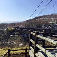 つつじ吊り橋