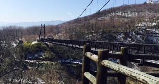 つつじ吊り橋