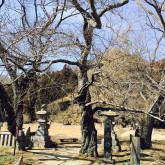 岩下観音