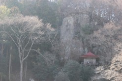 遊行柳