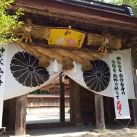 那智の滝ライトアップ