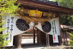 那智の滝ライトアップ
