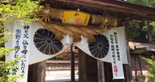 那智の滝ライトアップ