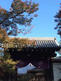 曼殊院入口6