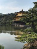 金閣寺斜めから