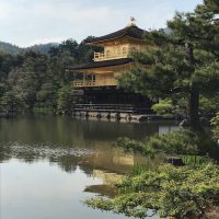 金閣寺斜めから