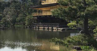 金閣寺斜めから