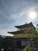 鳳凰と太陽